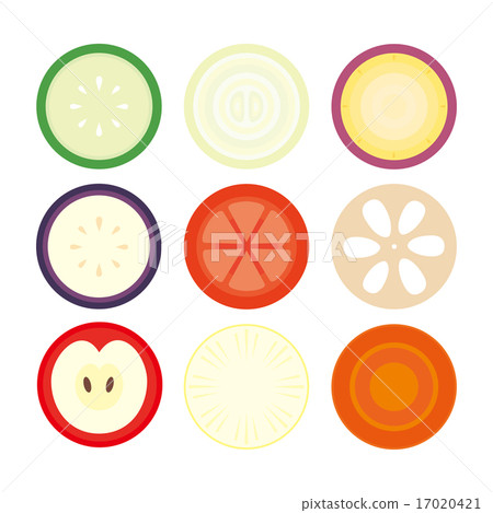 9種蔬菜和水果片 17020421