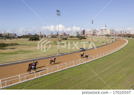 Horse Racing Action Horse Racing Action 17020507