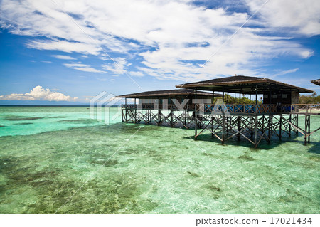 Tropcial paradise 17021434