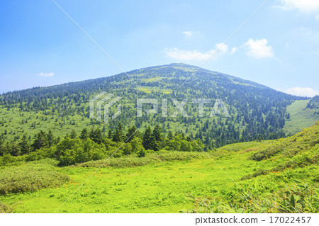 Summer Moriyoshiyama Akita ken Kitaakita city 17022457