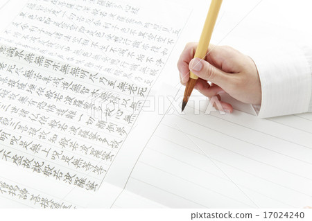 Female body parts that transcribe Female body parts that transcribe 17024240