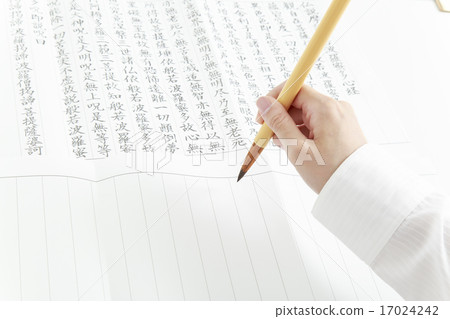 轉錄的女性身體部位 17024242