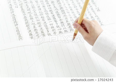 Female body parts that transcribe Female body parts that transcribe 17024243