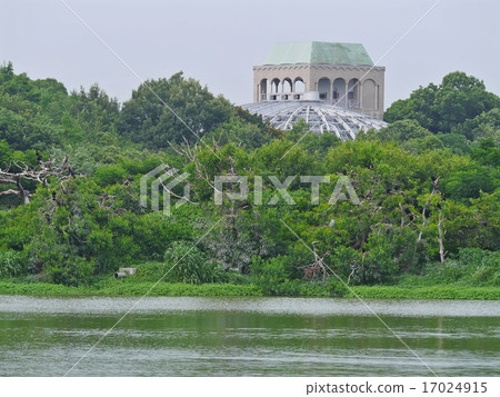 Koyoi公園和昆蟲博物館 17024915