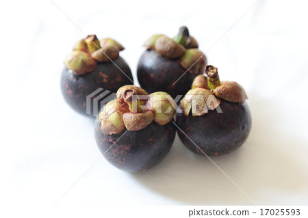 Mangosteen 17025593