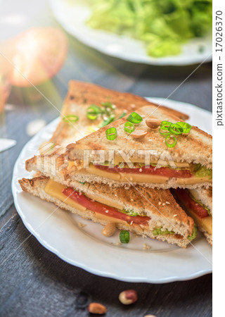 Cheese sandwich Cheese sandwich 17026370