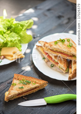 Cheese sandwich Cheese sandwich 17026379