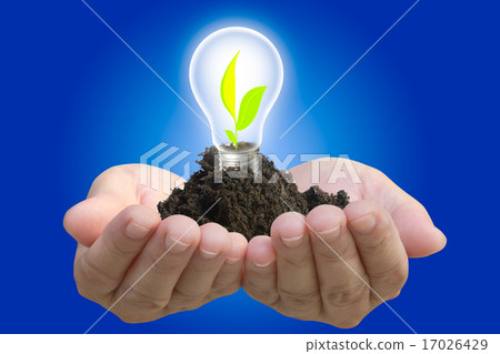 Plant grown in the light bulb and protect by hand Plant grown in the light bulb and protect by hand 17026429