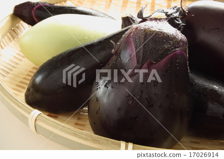 Kamo茄子白茄子長茄子米茄子茄子 Kamo茄子白茄子長茄子米茄子茄子 17026914