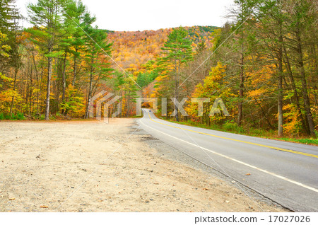 Autumn scene with road 17027026