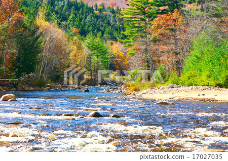 Swift River at autumn Swift River at autumn 17027035