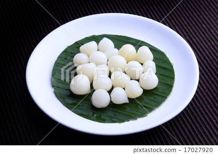 Single Bulb form of Elephant Garlic 17027920