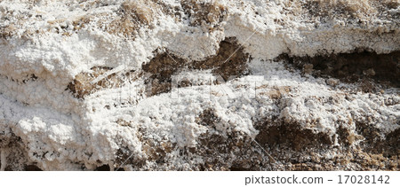 dead sea salt at Jordan 17028142