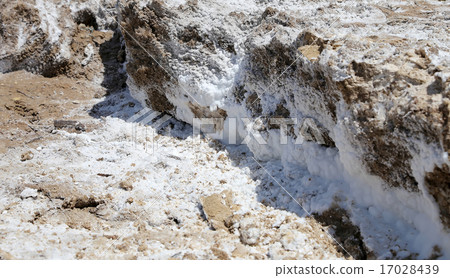 dead sea salt at Jordan, Middle East 17028439