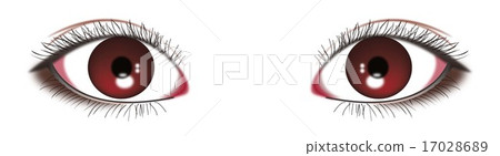 瞳孔 17028689
