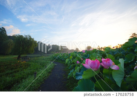 早上的看法 早上的看法 17028758