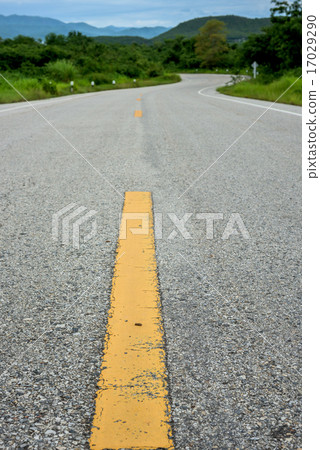 road in forest road in forest 17029290