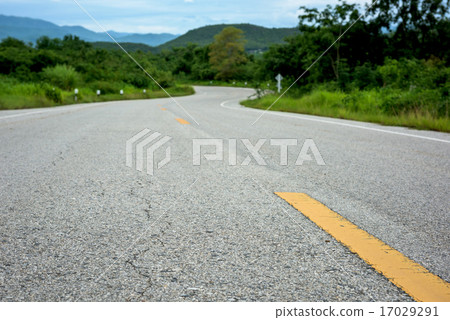 road in forest road in forest 17029291
