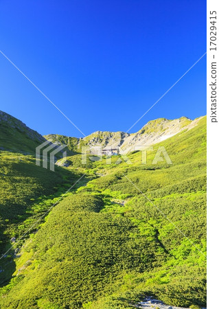 Southern Alps Summer's Sengegadake Mountains Yamanashi Prefecture Minami Alps City 17029415