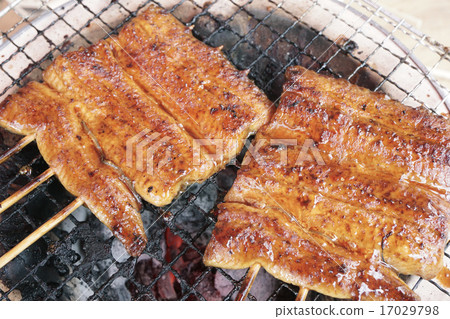 烤鰻魚 烤鰻魚 17029798