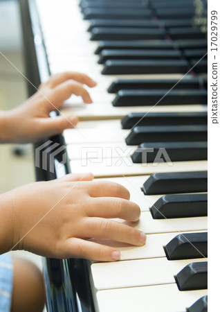 鋼琴演奏 17029799