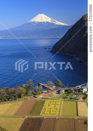 Suruga Bay and Mt. Fuji from Ida Suruga Bay and Mt. Fuji from Ida 17029866