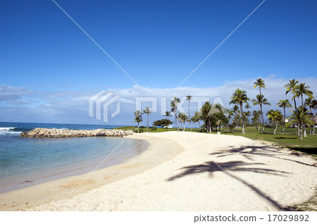 Ko Olina Resort,瓦胡島,夏威夷 - 5 Ko Olina Resort,瓦胡島,夏威夷 - 5 17029892