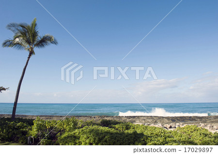 Ko Olina Resort, Oahu, Hawaii - 6 Ko Olina Resort, Oahu, Hawaii - 6 17029897