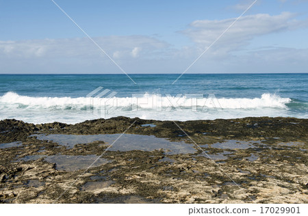 Ko Olina Resort, Oahu, Hawaii - 10 Ko Olina Resort, Oahu, Hawaii - 10 17029901