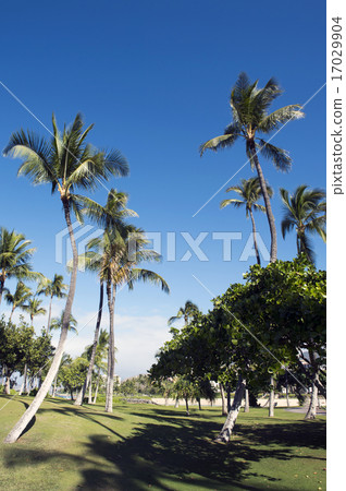 Ko Olina Resort Promenade,夏威夷瓦胡島-3 Ko Olina Resort Promenade,夏威夷瓦胡島-3 17029904
