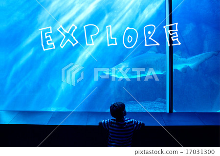 Composite image of explore Composite image of explore 17031300