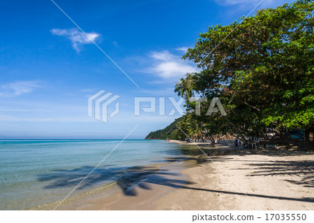 palm shadow on Koh Chang beach Thailand 17035550