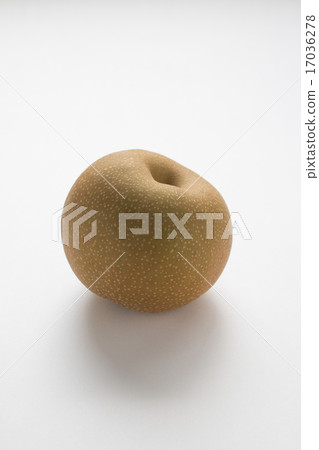 pear  17036278
