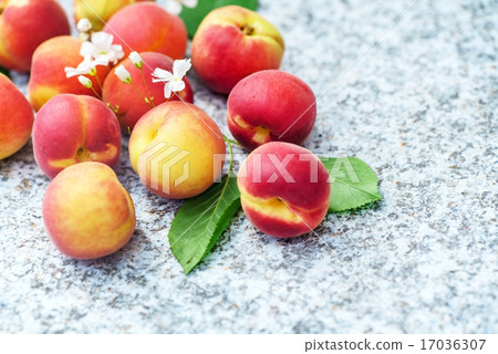 fresh apricots fresh apricots 17036307