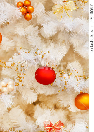 Christmas tree 17036597