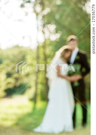 wedding day wedding day 17036779