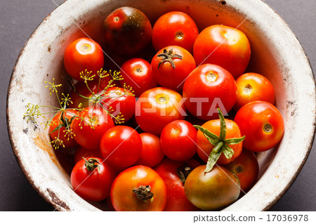 fresh tomatoes 17036978