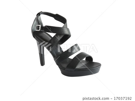 Stylish Female Shoe Stylish Female Shoe 17037192