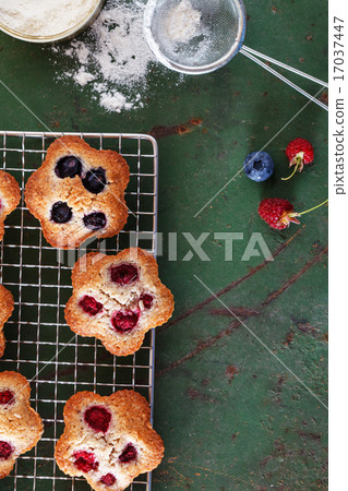 berry financier berry financier 17037447