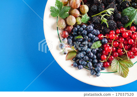 fresh berries fresh berries 17037520