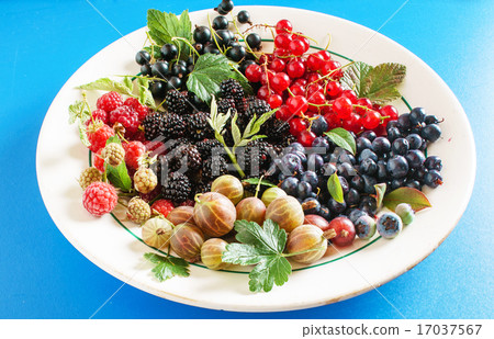 fresh berries fresh berries 17037567