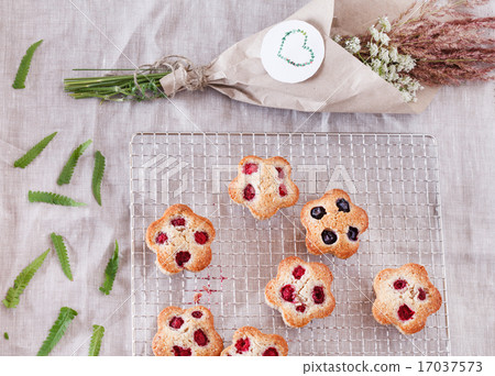 berry financier berry financier 17037573