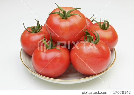 番茄番茄 17038142