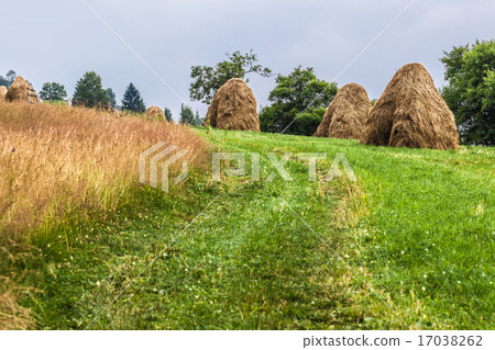 sheaves of hay in the Carpathians 17038262