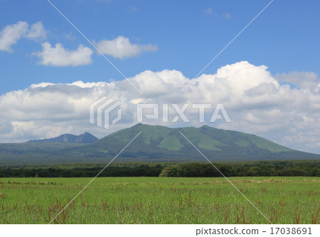 Nishigetsutake·Megumi Mt. 17038691