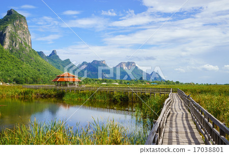 Wooden Bridge at sam roi yod, Thailand 17038801