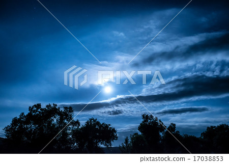 Full Moon night in the forest 17038853