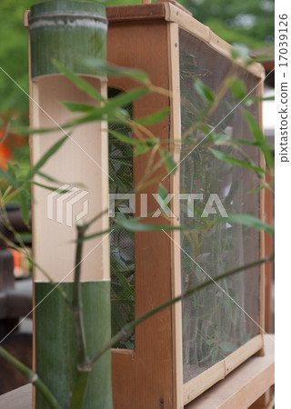 Shimogamo神社煙花茶會 Shimogamo神社煙花茶會 17039126