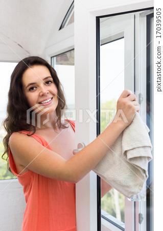 Housewife cleaning windows 17039505