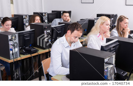staff sitting at desks and looking at PC screens staff sitting at desks and looking at PC screens 17040734